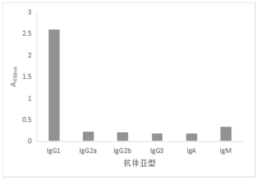 A kind of anti-duck skeletal muscle troponin i monoclonal antibody and its application