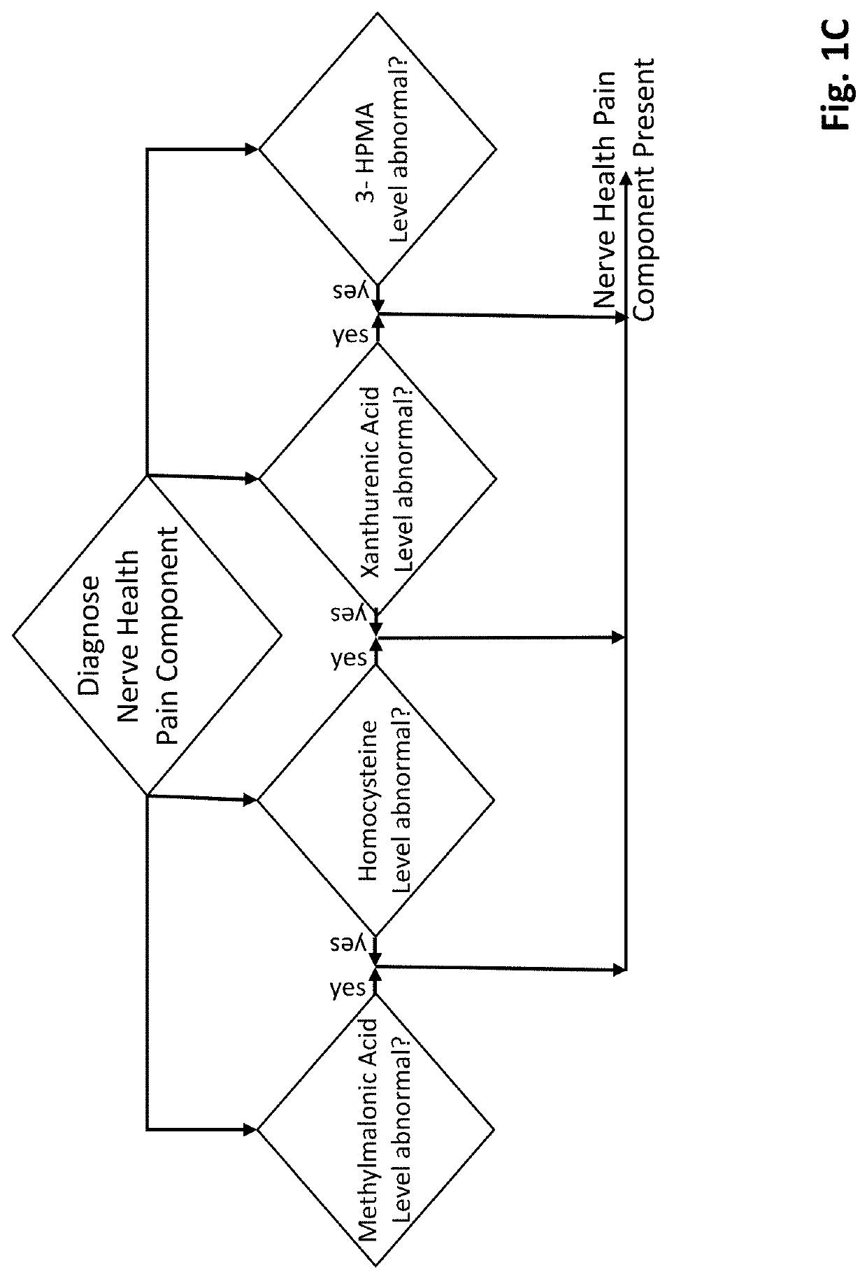 Methods of diagnosing and treating particular causal components of chronic pain in a patient