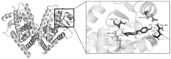 Application of naringenin in preparation of accelerant for promoting polarization of M1 microglial cells to M2