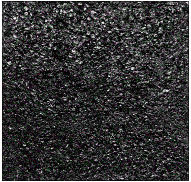 Photocatalytic nanometer spray coating and method for preparing same