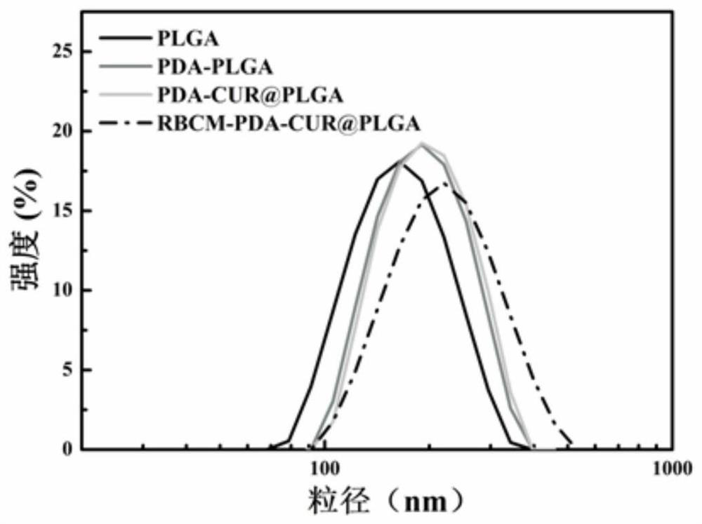 A kind of erythrocyte membrane-wrapped polydopamine-coated drug-loaded plga material and its preparation and application