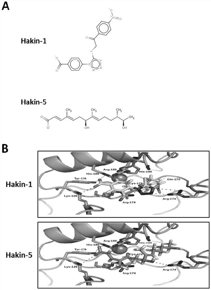 Compounds that selectively and effectively inhibit hakai-mediated ubiquitination, as Anti-cancer drugs