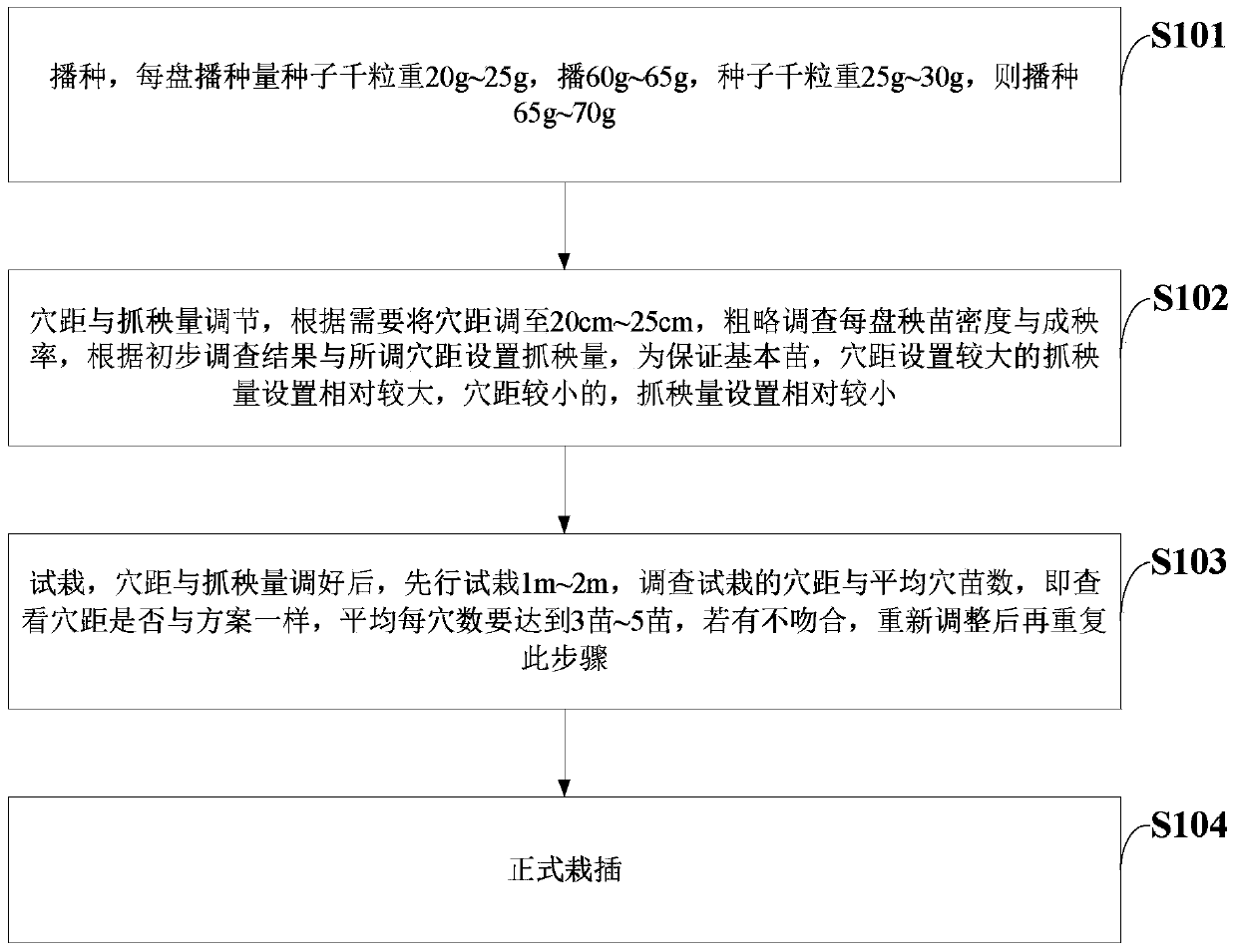 A kind of cultivation method of machine-transplanted hybrid rice with reduced holes, stable seedlings and large spikes