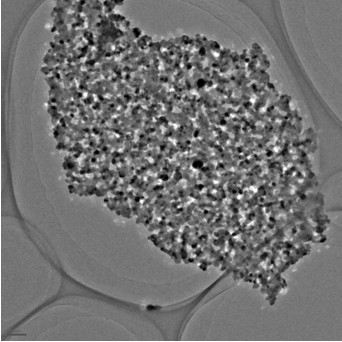 Preparation method for ZnO two-dimensional porous material