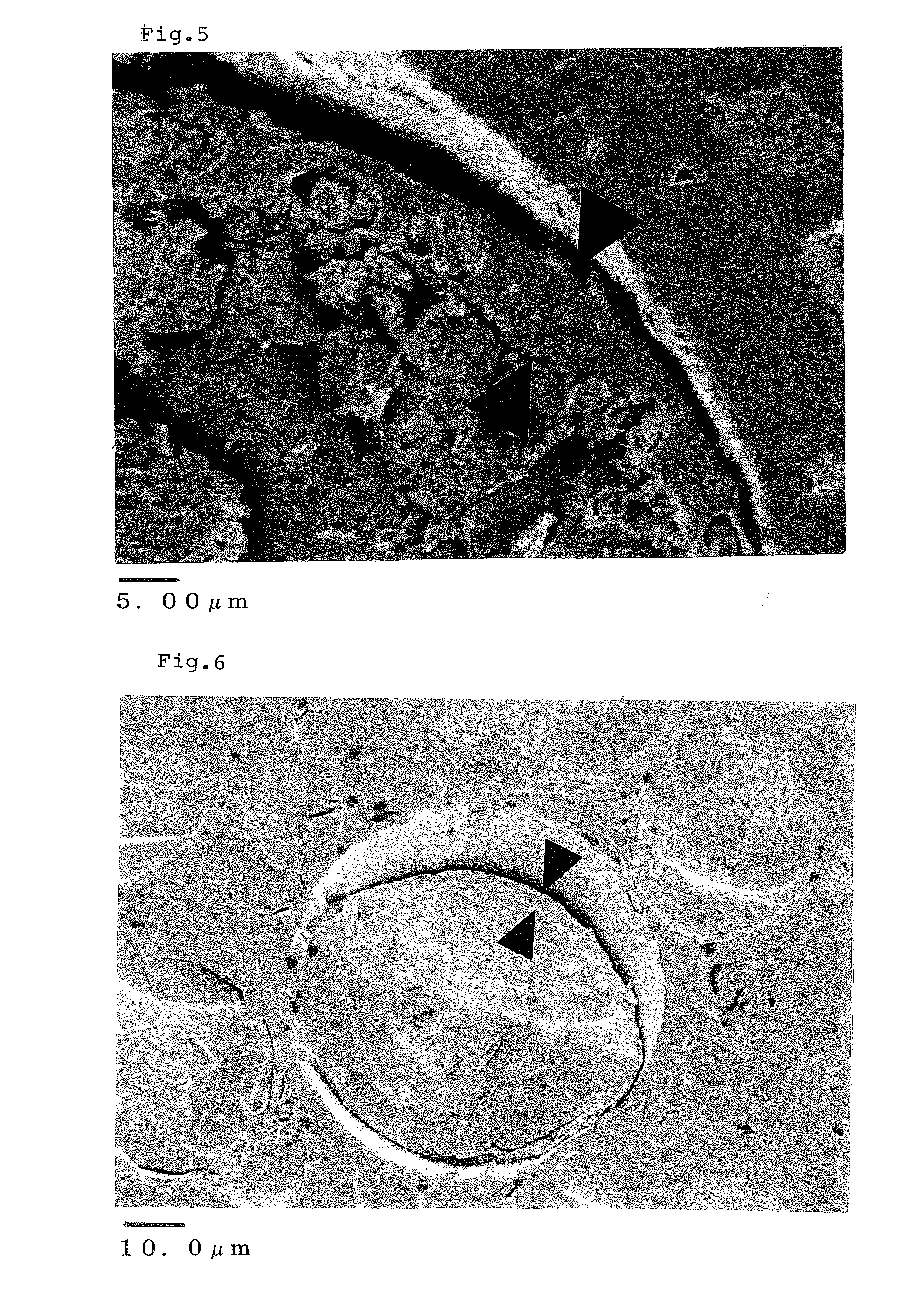 Microspheres having core/shell structure