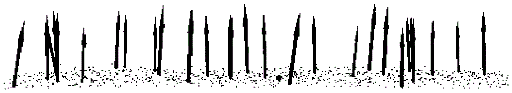 A Method for Estimating Normal Vectors of 3D Point Clouds