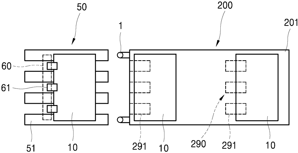 Conveyer belt for lineation device and lineation device having the conveyer belt