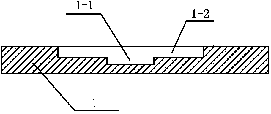 In vitro micro-dynamic culture device of mammalian embryos and method for cultivating embryos by using same