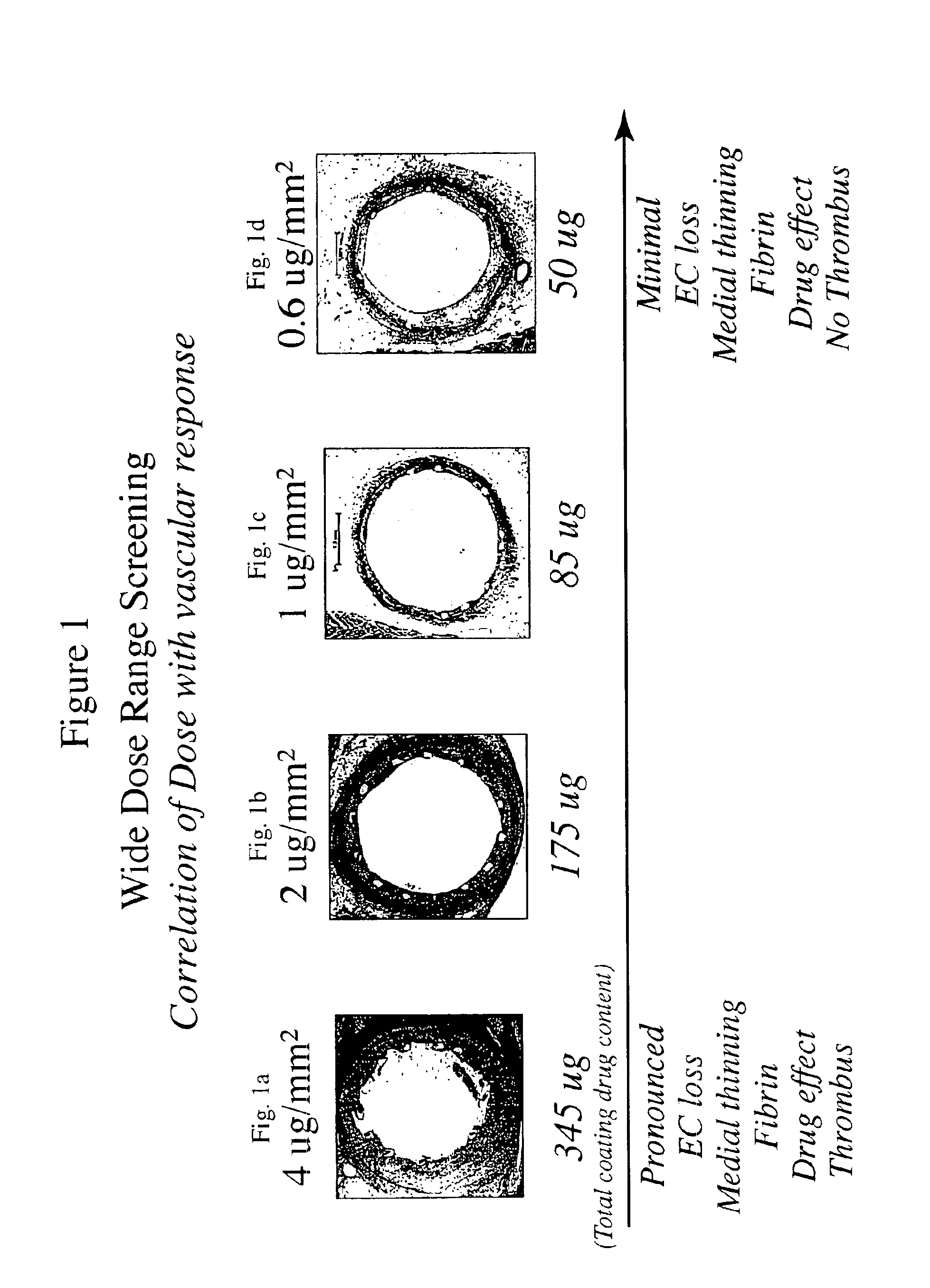 Optimized dosing for drug coated stents