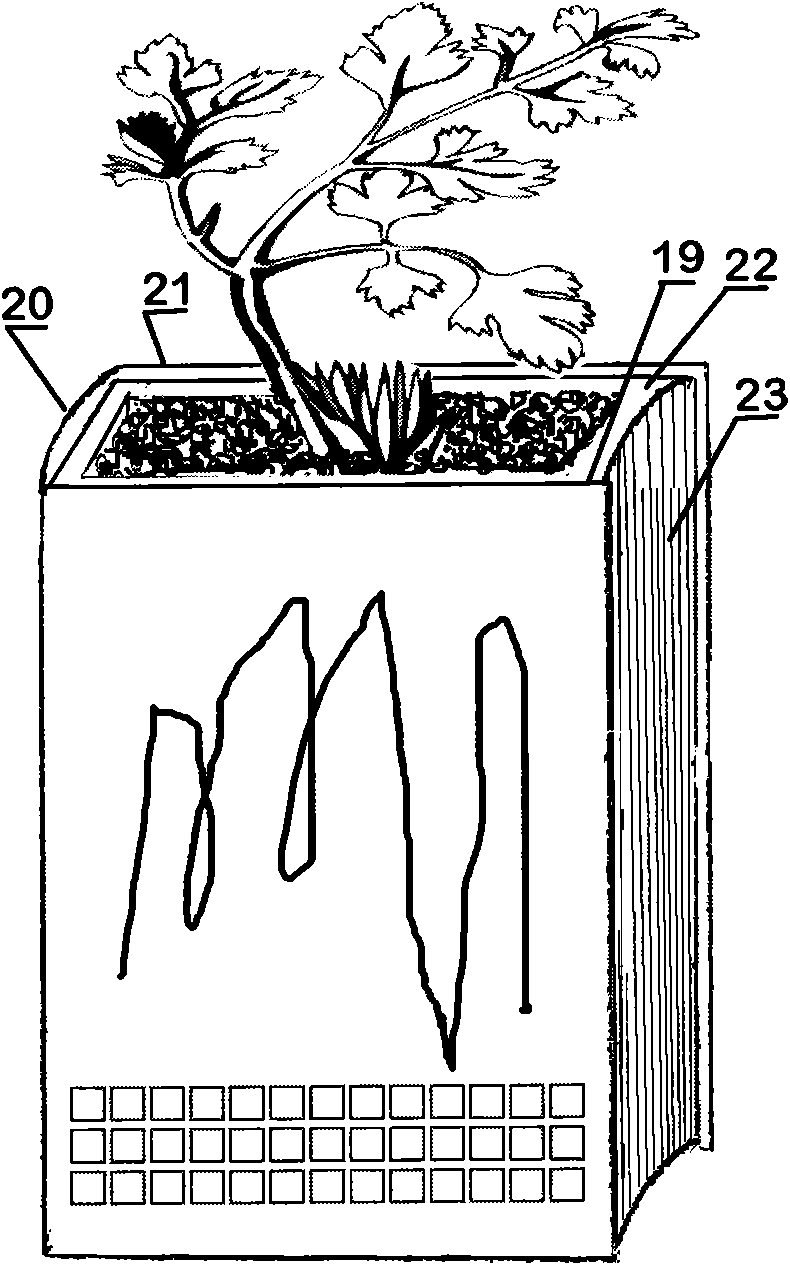 Original ecological book theme park