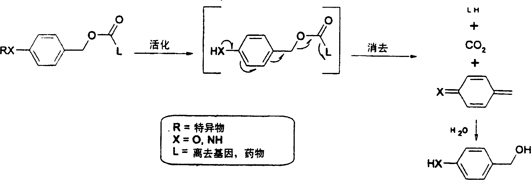 Elogated and multiple spacers in activatible prodrugs