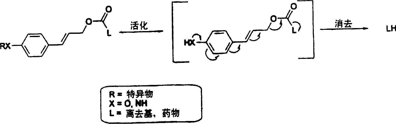 Elogated and multiple spacers in activatible prodrugs