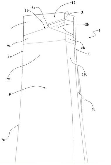 Aseptic pouch with a spout