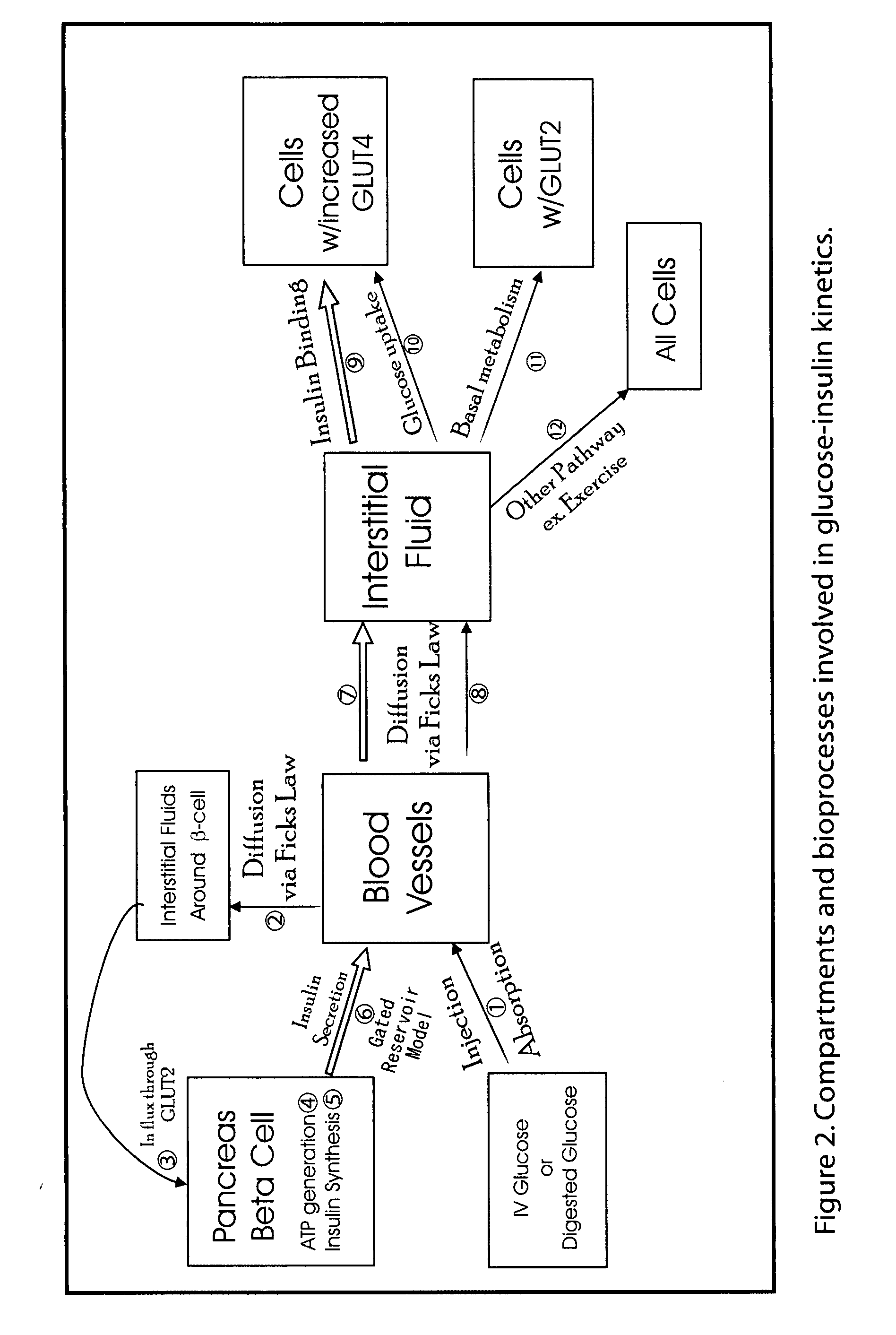 Beta cell mimicking control algorithm for artificial pancreas