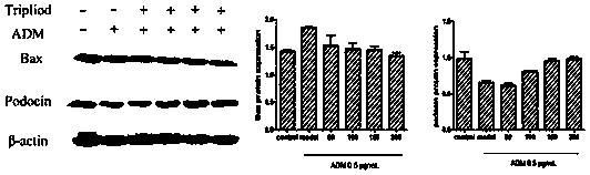 New polyglycosides of tripterygium wilfordii with low toxicity, its preparation method and application