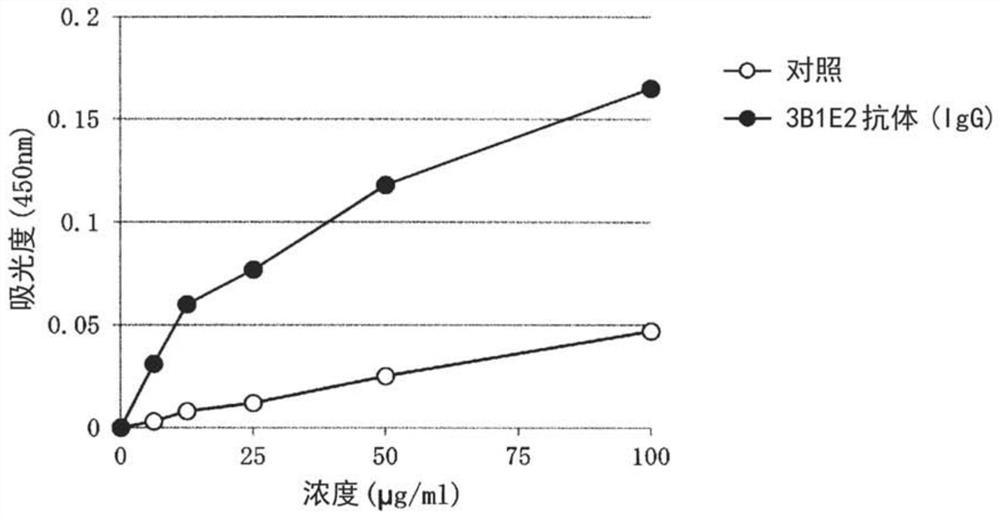 Antibody and functional fragment thereof