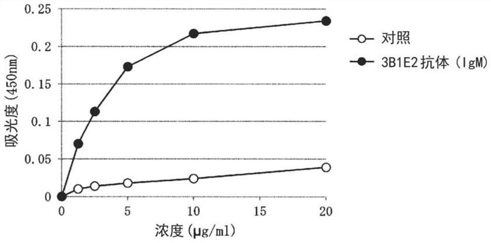 Antibody and functional fragment thereof