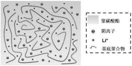 High-conductivity polymer electrolyte and preparation method thereof