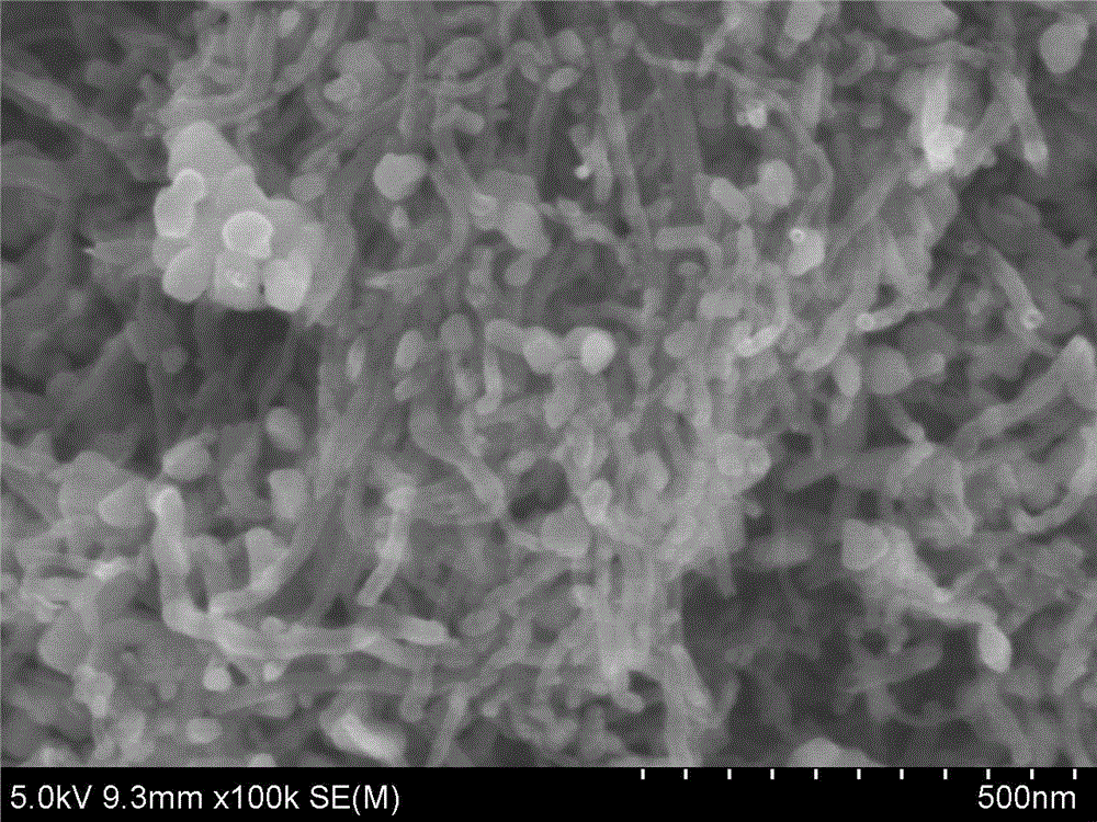 Method for preparing titanium niobate and carbon nanotube composite material and lithium ion capacitor with material as negative electrode