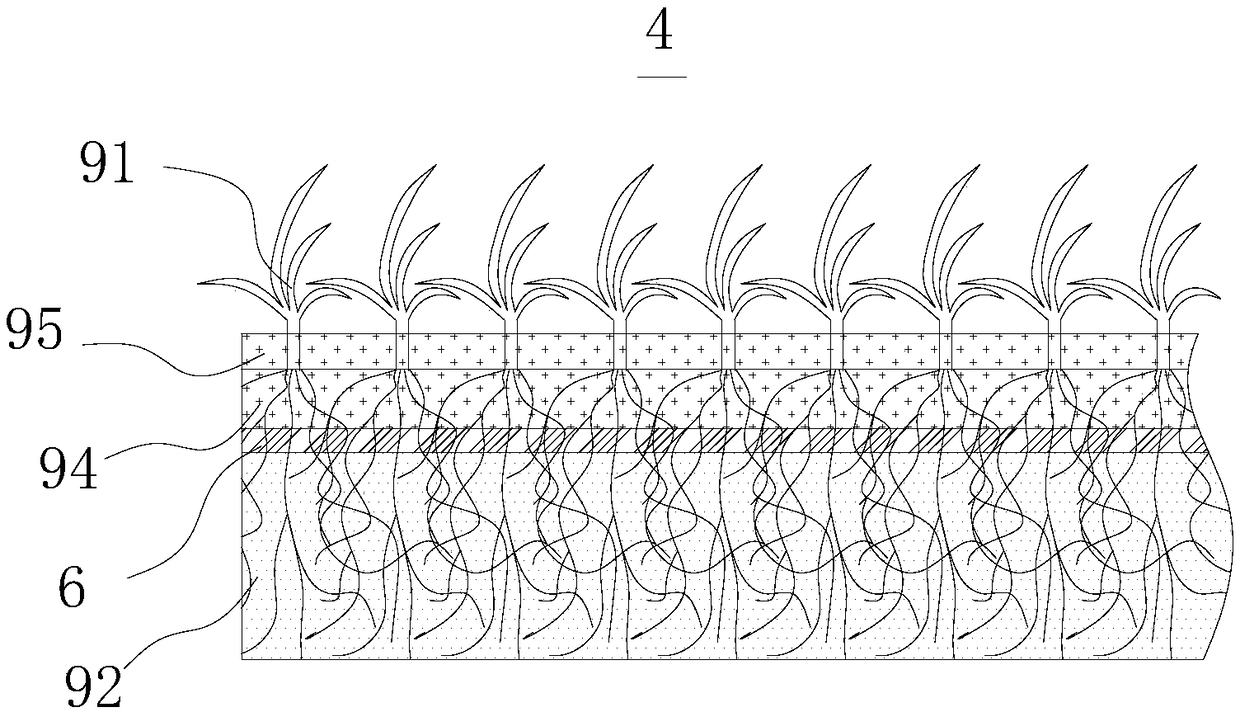 Lawn capable of being used for three-dimensional decoration, culture method and application