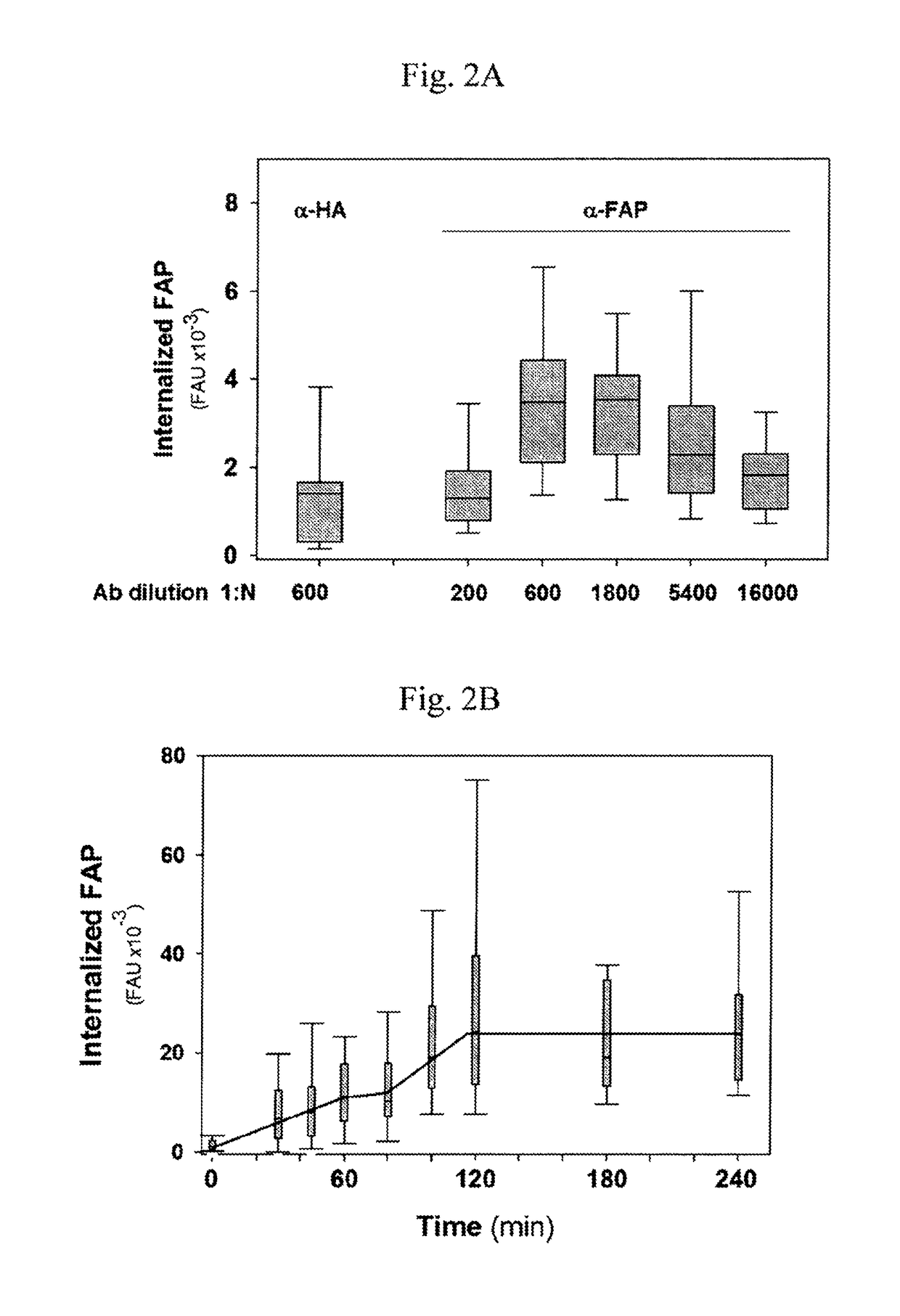 Treating bladder tumor cells using fibronectin attachment protein as a target