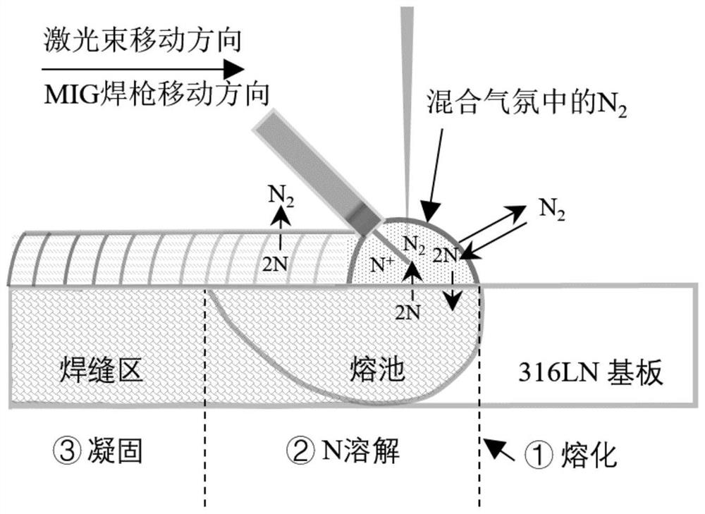 Method and device for improving corrosion resistance of MIG welding Cr-Ni series stainless steel