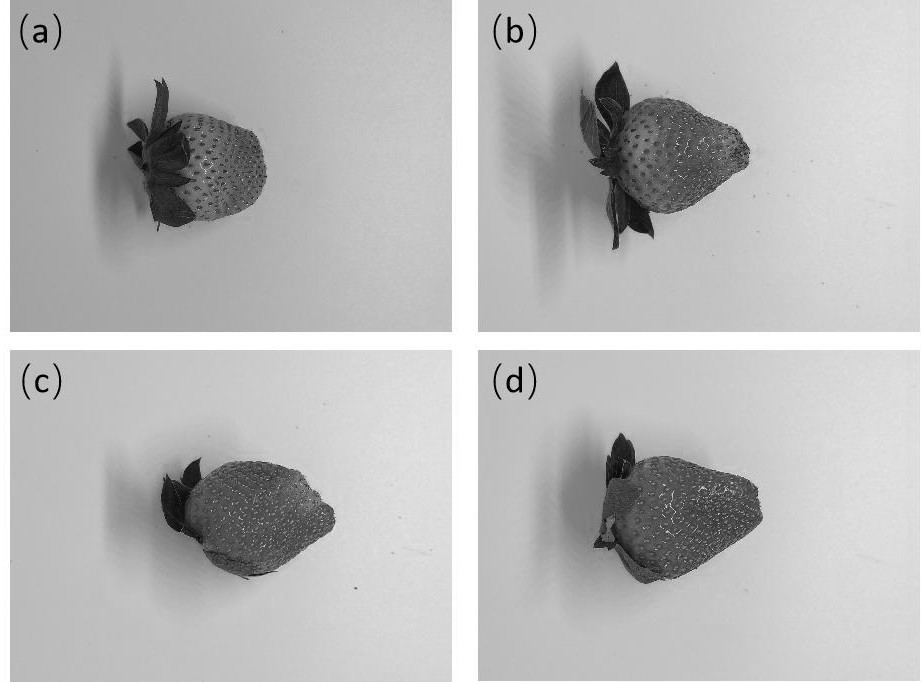 Strawberry maturity rapid discrimination method based on machine learning