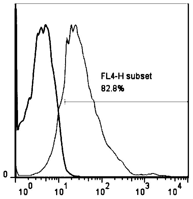 Construction method of AFF cells