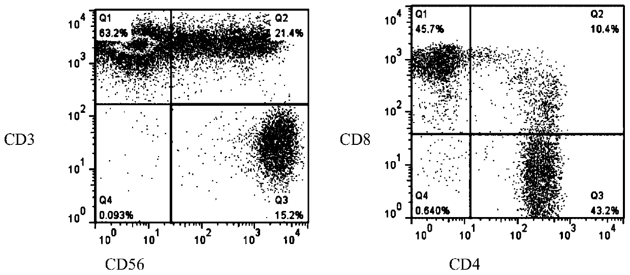 Construction method of AFF cells