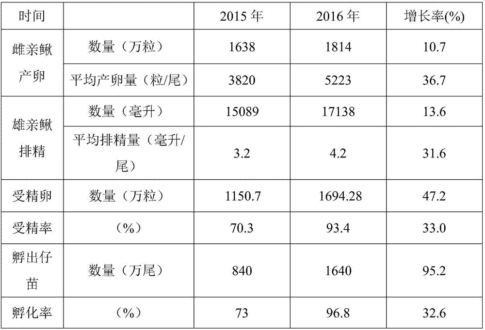 Mountainous area loach parent cultivation and artificial induce spawning method, and incubation system