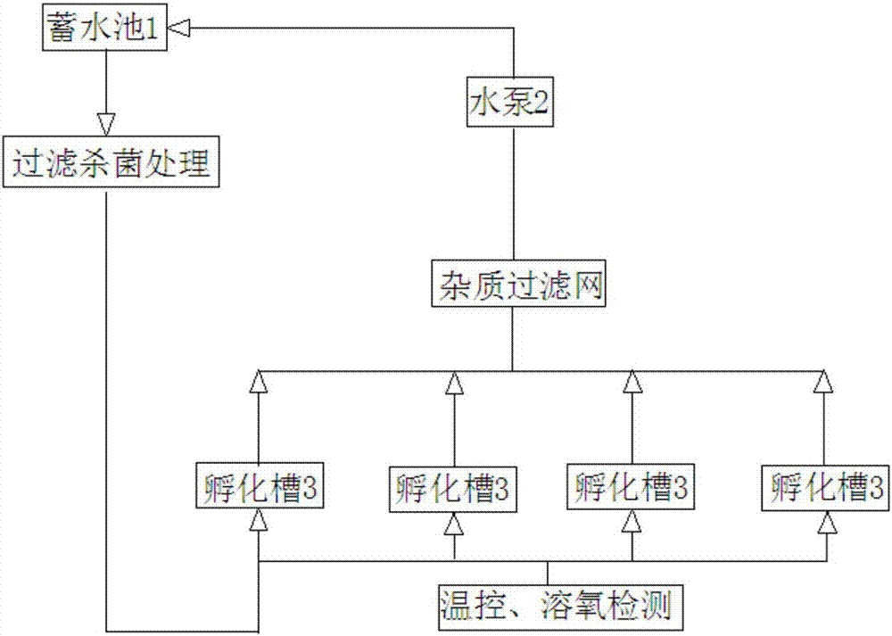 Mountainous area loach parent cultivation and artificial induce spawning method, and incubation system