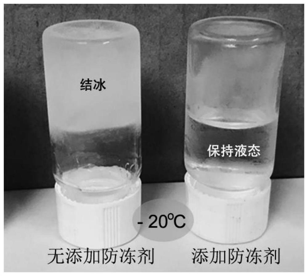 Positive electrode material of zinc-polymer water-based rechargeable battery and preparation method of low-temperature-resistant electrolyte of zinc-polymer water-based rechargeable battery