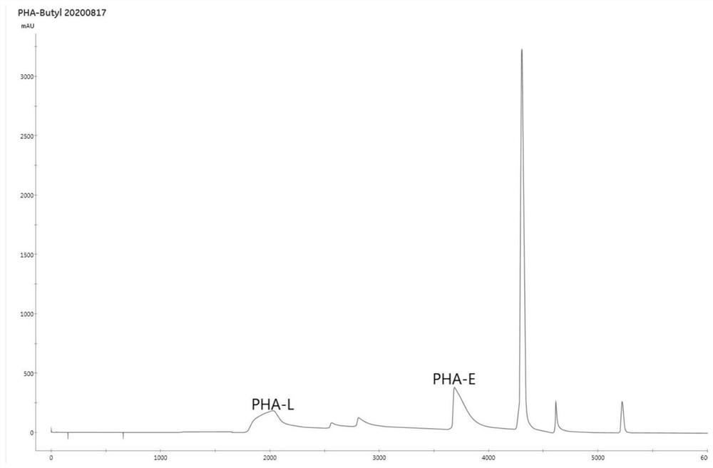 Method for extracting L-type and E-type phytohemagglutinins (PHAs)