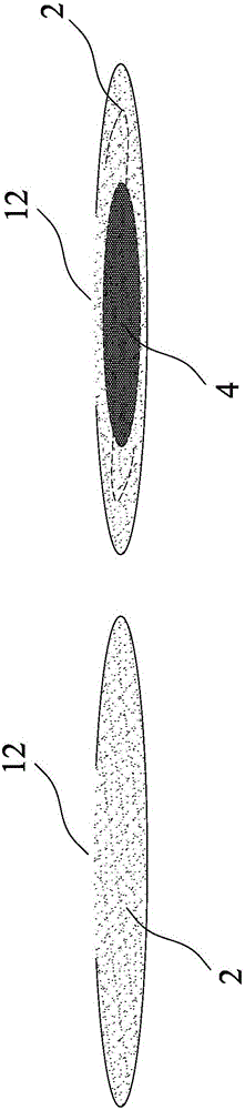 Artificial iris with a capsule