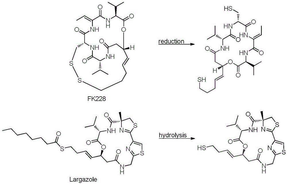 Fluorinated olefin analogue of marine natural product cyclic depsipeptide as well as preparation method and application of fluorinated olefin analogue