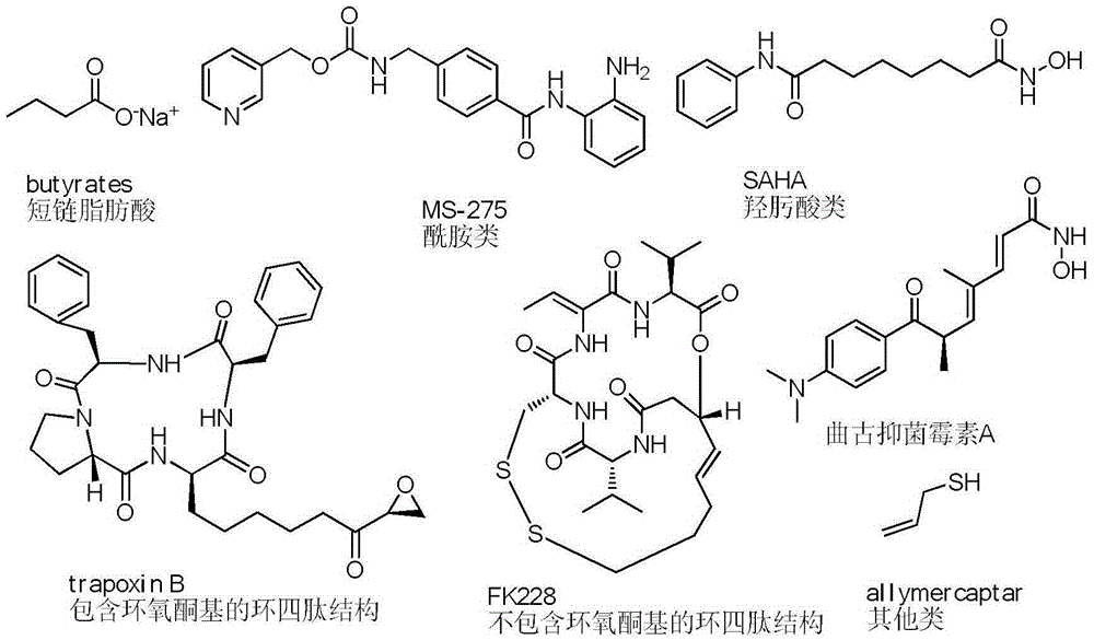 Fluorinated olefin analogue of marine natural product cyclic depsipeptide as well as preparation method and application of fluorinated olefin analogue