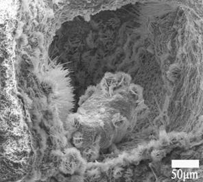 Method for preparing hydroxyapatite/composite hole bioactive glass