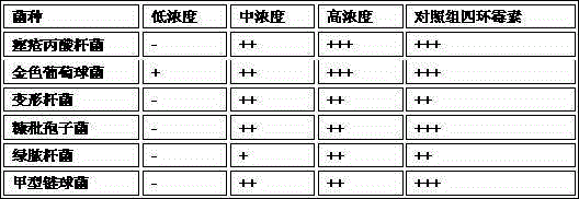 Traditional Chinese medicinal composition for treating acne vulgaris and preparation method of traditional Chinese medicinal composition