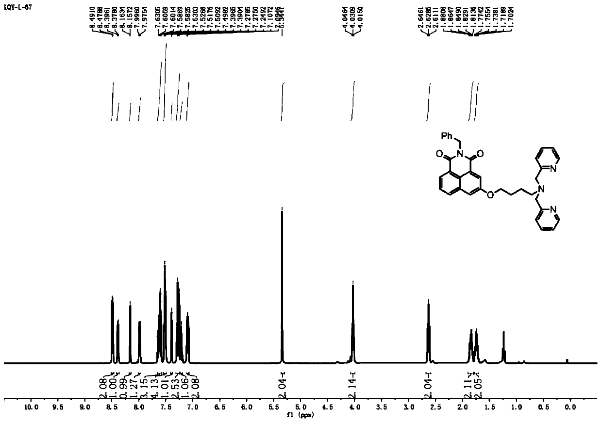 Naphthalimide-platinum (II) complex and preparation method and application thereof