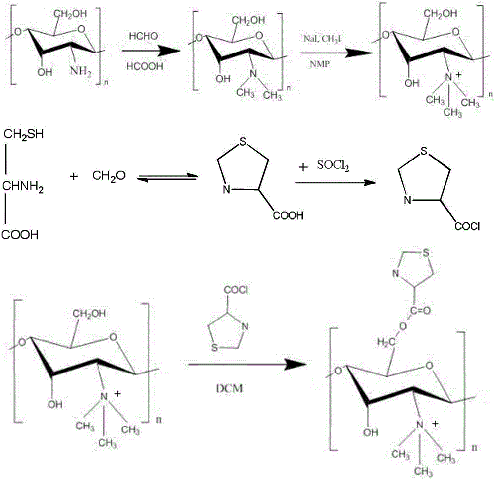 O-thiazolidine methyl ester-n-trimethyl chitosan quaternary ammonium salt and its preparation method and application