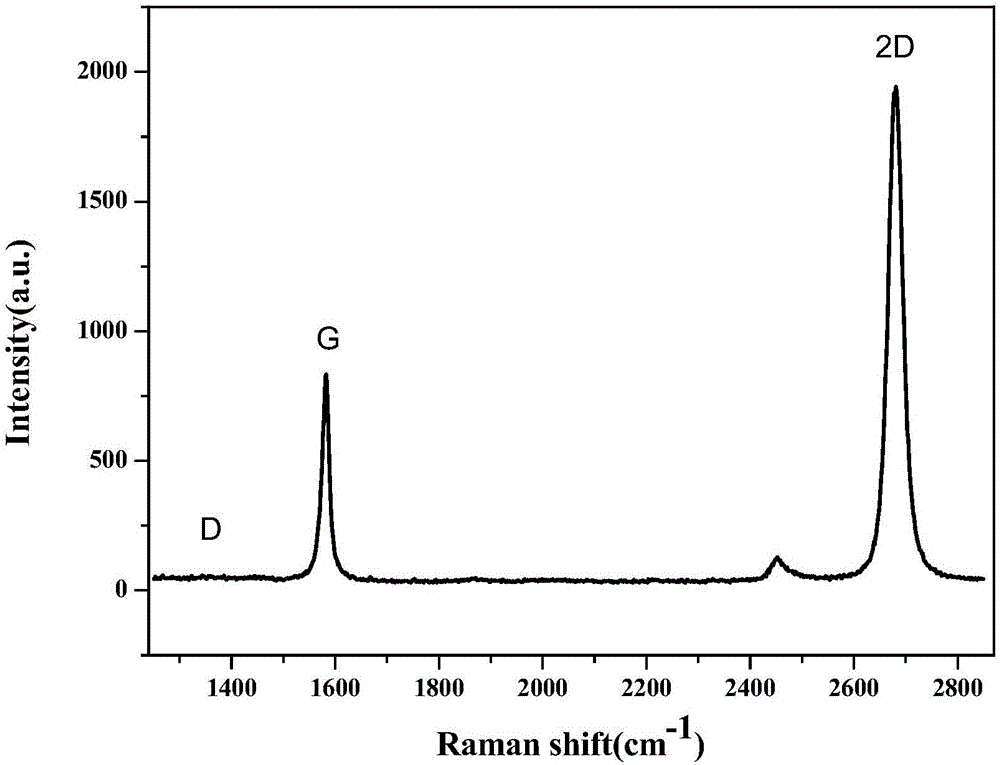 Multi-stage terahertz modulator based on flexible graphene field effect transistor structure