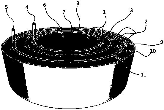 Efficient anti-corrosion ozone electrolytic preparation device