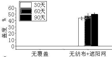 Mechanized artificial cyanobacteria crust culture construction process