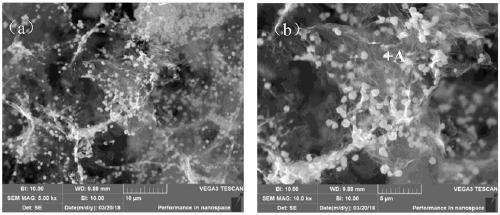 Method for preparing modified graphene reinforced copper-based composite material