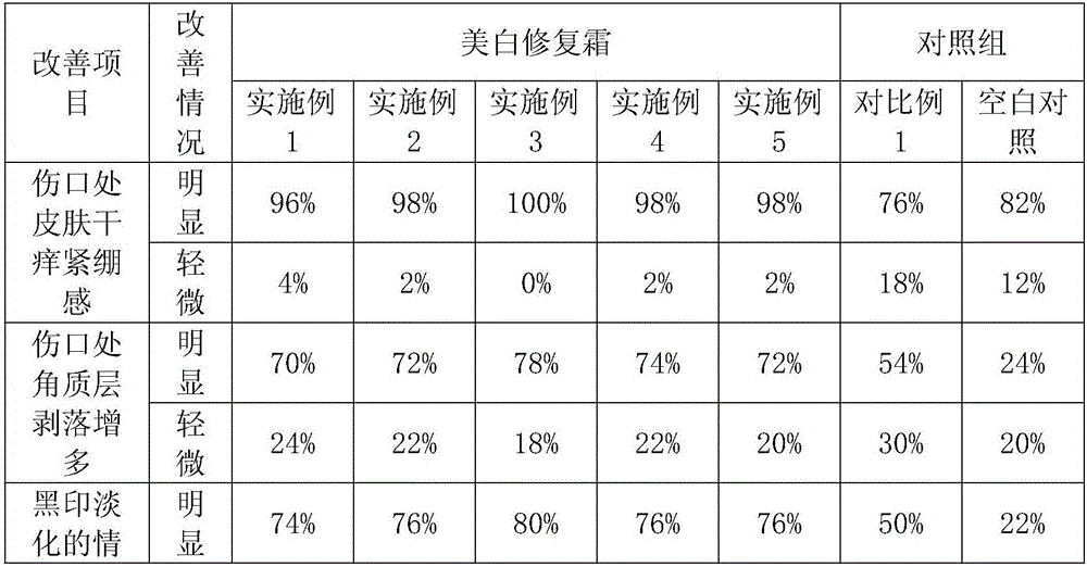 Application of leaf mustard polypeptide to preparation of skin whitening and repair cosmetics