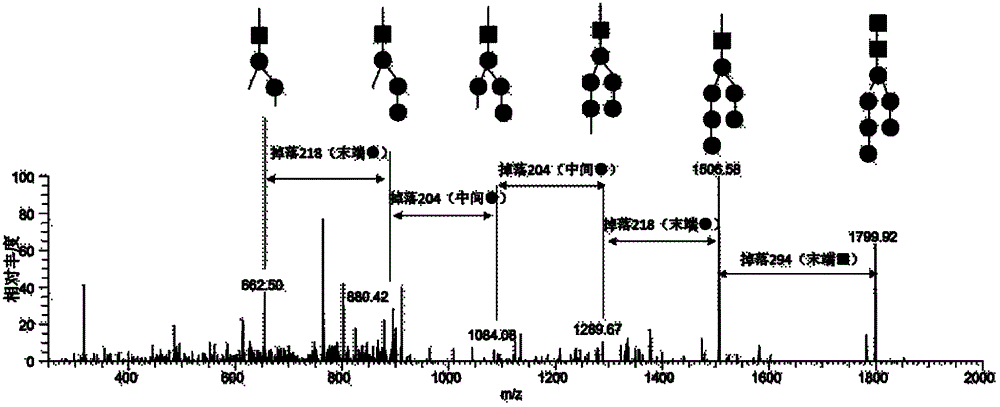 Diagnostic marker for systemic lupus erythematosus