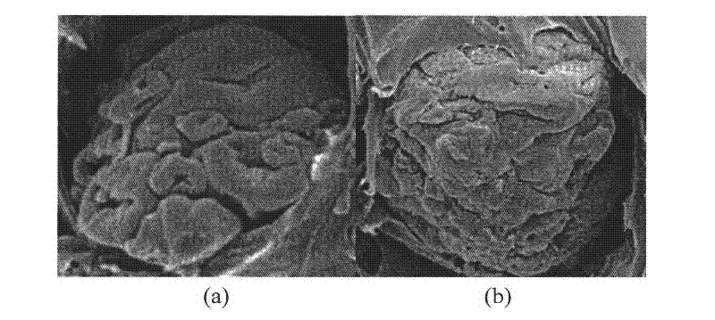 Pre-modified PVC (Polyvinyl Chloride) resin and modified PVC (Polyvinyl Chloride) resin as well as preparation method thereof and application thereof