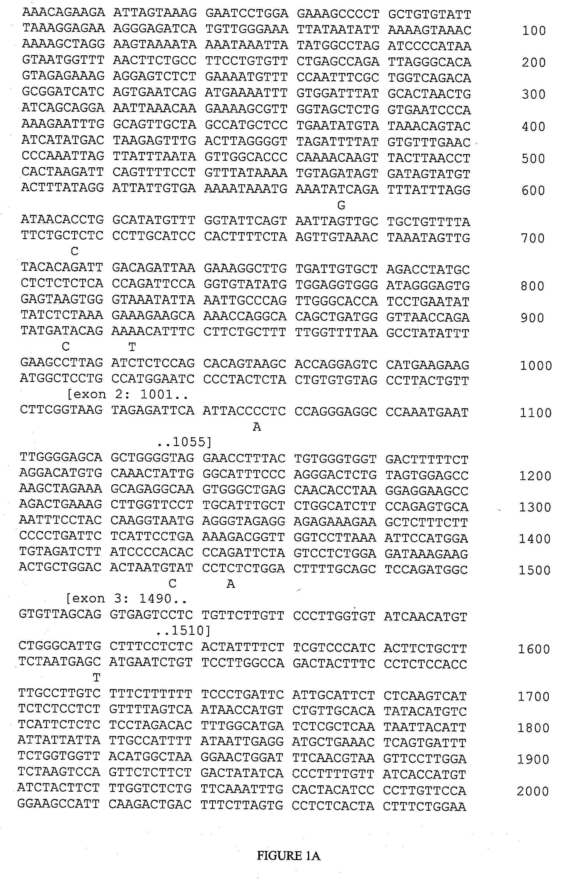 Haplotypes of the FCER1A gene