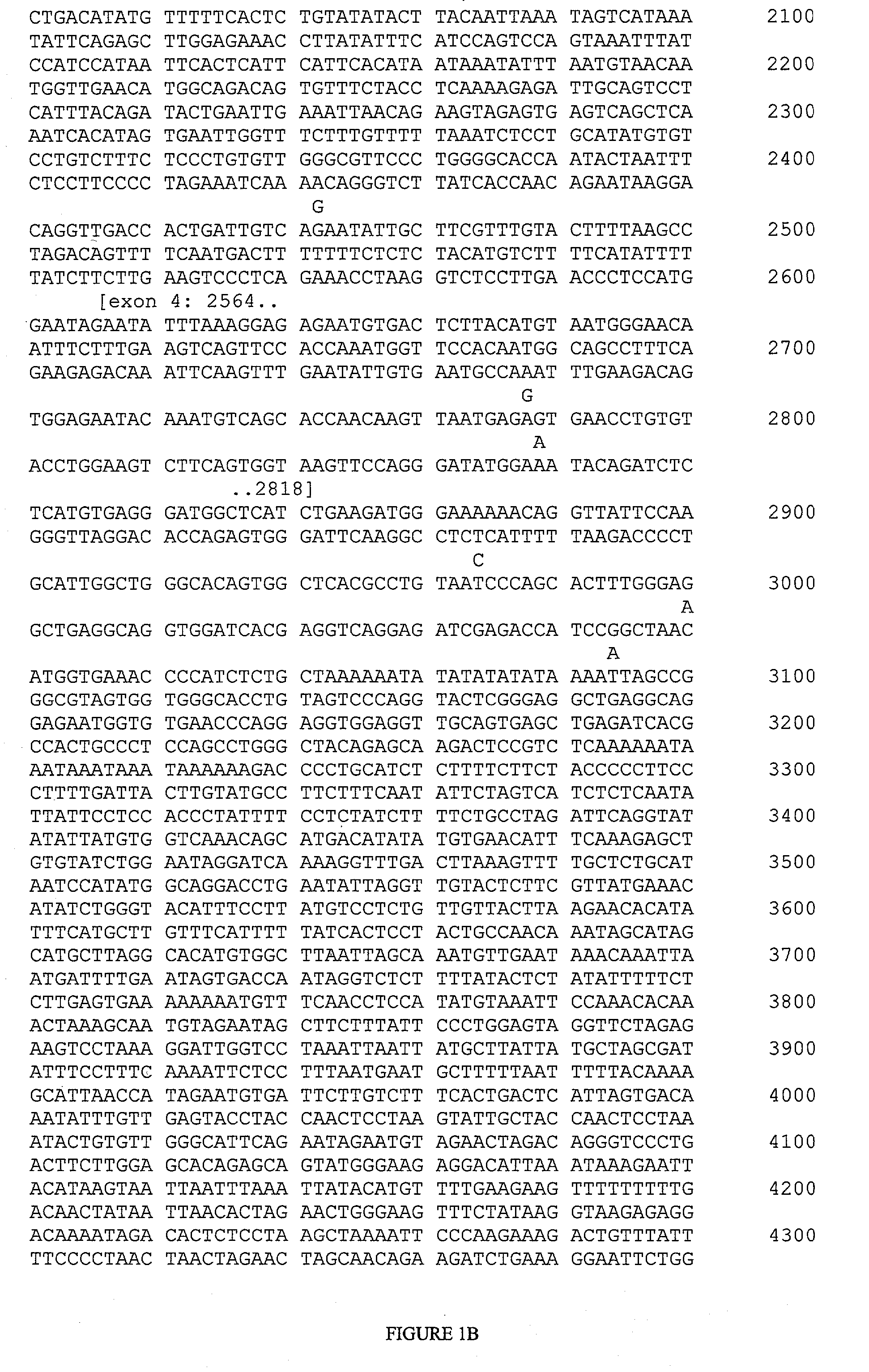 Haplotypes of the FCER1A gene