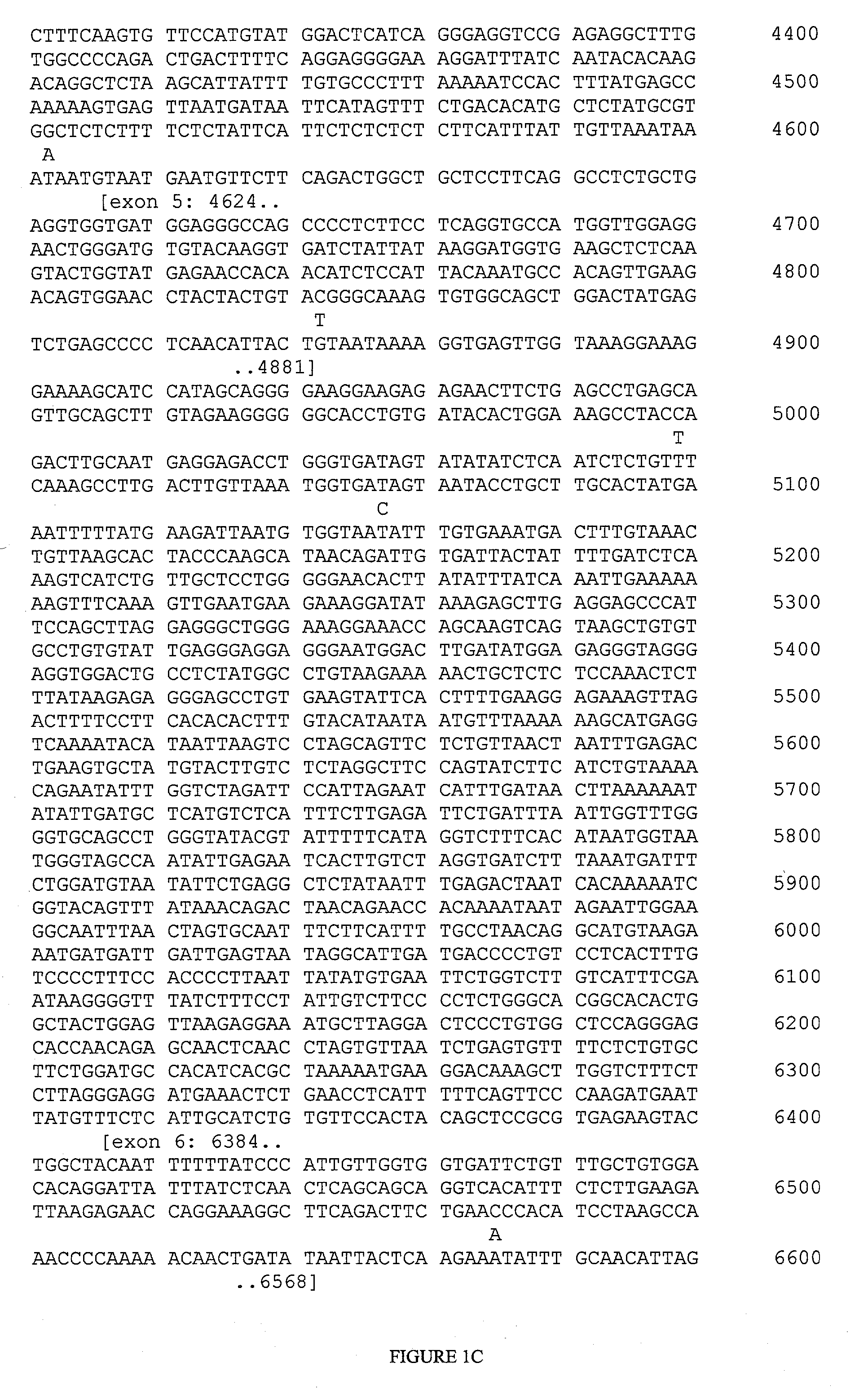 Haplotypes of the FCER1A gene